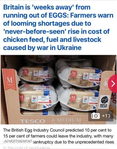 Food Shortage 1