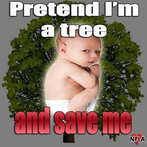 3C64EBA1-BE34-457C-8398-6A2265B8E2BC