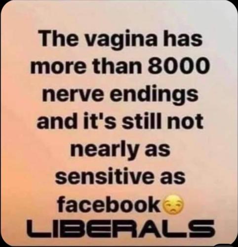 f240400c-97b8-4eac-8f8e-904d1574bbc9