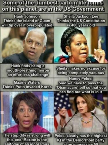 d9268fbe-5f69-4e00-a5d9-bb679735b5f6