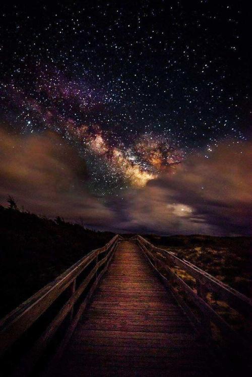 66de7985-86a8-4c32-a831-4926f8b9fbc9