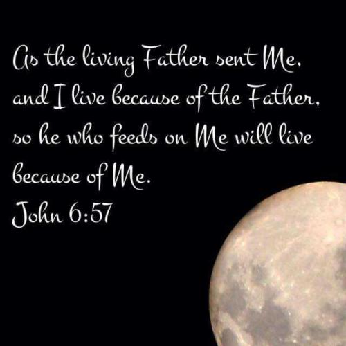 7be2cc8e-2221-4fdd-8c5c-224e2704ac0d