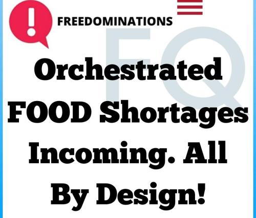 cfeedc03-cf85-4a7a-8199-bca0014cc48d