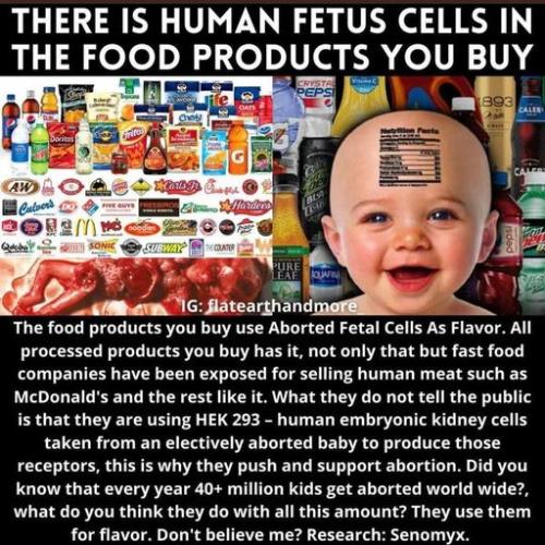 human fetus cells