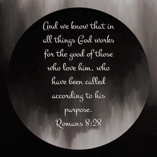 3b390504-56bf-4120-bf5a-069807429cc2