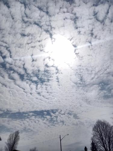 e64672e4-fa79-47eb-b619-2f98dffbf555