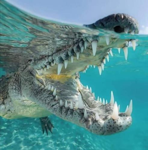 tumblr_9235d8e62862bd930d6c46fe9b6ac9b8_845c8a51_540