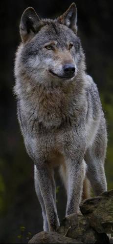 48a7341cb0be4f4e3ef176d41418129a