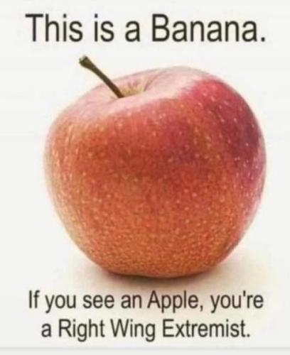 03b5c49c-783f-4696-828e-93df5f0fe2cb