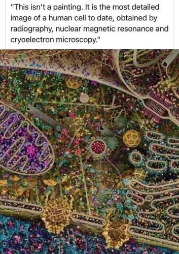 ,                                                                                                                                                                                                                          0 5