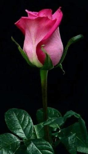 09:31:50 GMT-0500 (CDT)