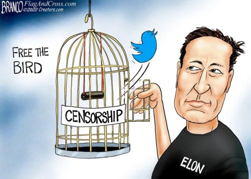 Branco_Elon_musk_free_twitter_bird