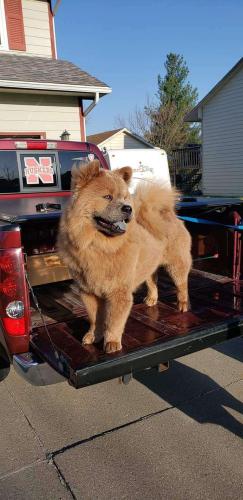 7d232d7c-be84-41c2-82cb-470f29ac4a67