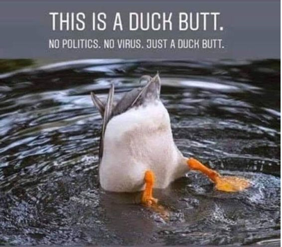 duck butt