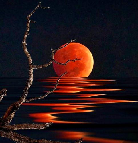 774CBCF7-2164-4DD6-990B-91254AF707F5