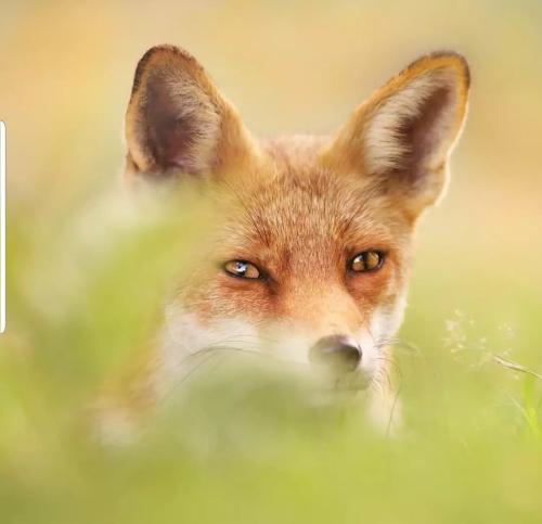 278760745_408155357792698_4144417863509373127_n