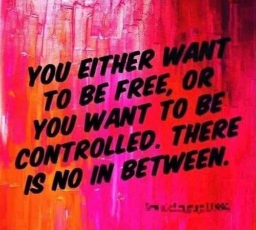 36fbaa91-c1ba-4838-8038-299632c78301