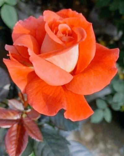 20:57:21 GMT-0500 (CDT)