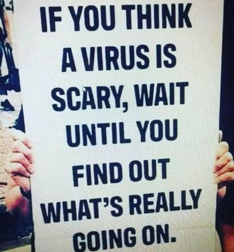 278973880_10228454717219399_3018768660138296872_n