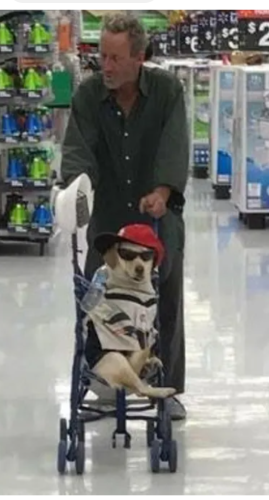 Screenshot_20220331-190304