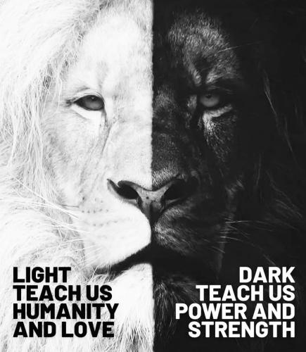 4bdb7fcd-f0e9-4d8f-90c0-32fd5ed1b21d