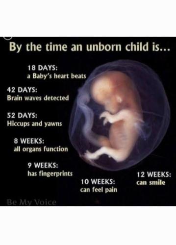 fc911fc2-5093-43d2-a6e6-e8bd67b0cae3