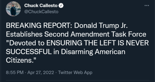 DJT Jr Guns 1