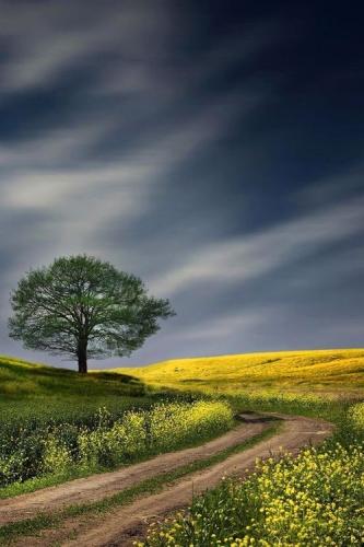 12:48:28 GMT-0500 (CDT)