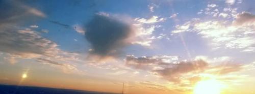 9f0ce48f-10dd-4a0d-a0a1-8d705401cdc8