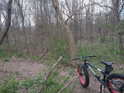 66dc8c62-610e-4a14-8726-4c5833a77a4f