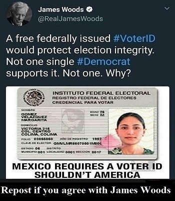 Mexico voter id