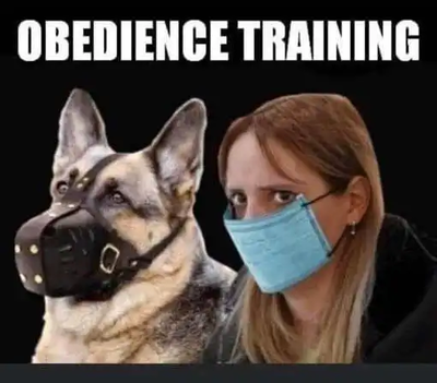 obedience2