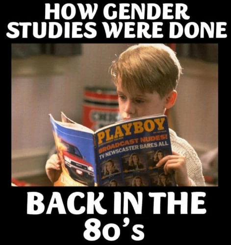 gender studies00