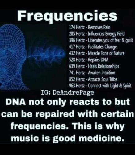 e8ad8d90-69d4-43ba-8d33-76d6ceb2daa9