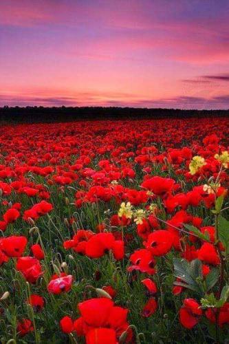 50c2bcb5-ed84-4a1f-afb8-c5b7a3f9a1c7