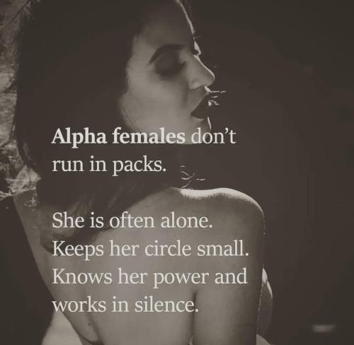 ced5f27c-bf34-4646-bab1-d12405726f34