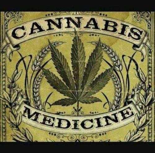 5c2b9d05-a038-4b75-8d85-dc3e13d19ee5