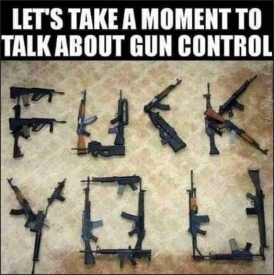 gun control200