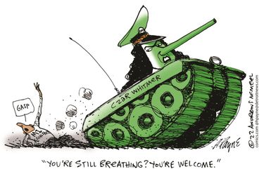 payn_c18943020220331120100-375x275