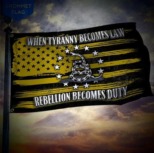 5fd4702d-3363-40f4-90b3-cabe85b05385