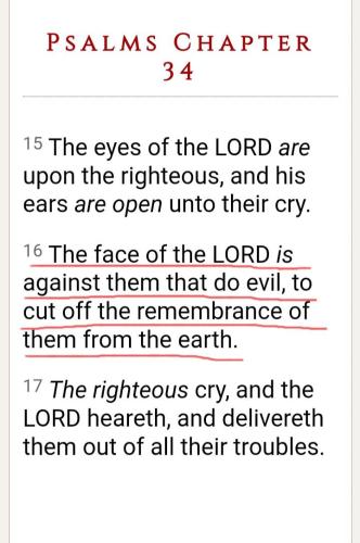 5a7431e2-381b-4786-bfea-9fdd4fc1366b