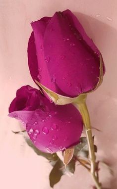 09:18:13 GMT-0500 (CDT)