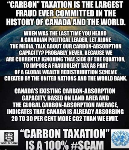 carbon taxation