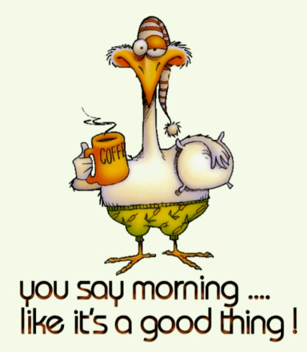 sketch-1650293384777