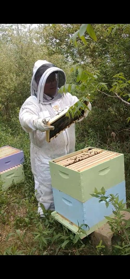 a69ee876-d1be-44bc-85d4-94602681f34f