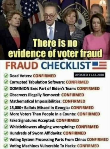 voterfraud307