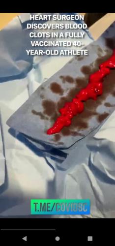 266113de-3bc4-4e8e-be05-b27b11636e89