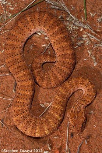 13901453_10205154827310466_5533023588417721803_n