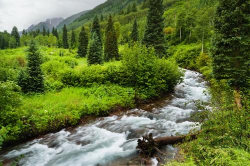 Rushing green mountain stream