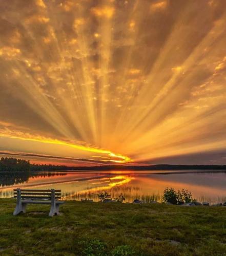 Sun flare over lake park